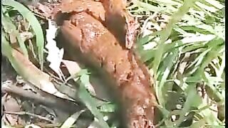 Cute brunette amateur gal pooping