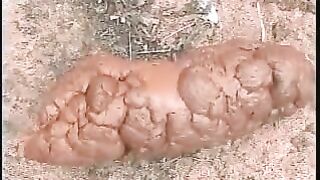 Cute brunette Latina girl poops hard log