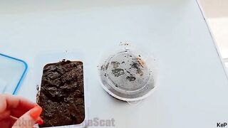 Scat play in the bathroom compilation