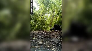 Lovely shit in the woods