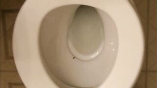 Gorgeous amateur girl poops in the toilet