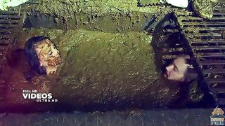 Beautiful scat babe covered in horse dung enjoys sex