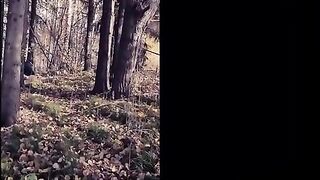 Dirty babe licking shitty dildo