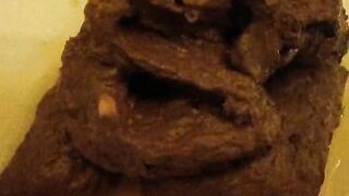 Beautiful fuirty poop