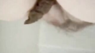 Chubby lady with hairy pussy pooping