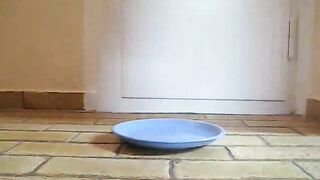 Amateur gal and poop on the plate