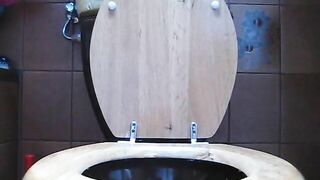 Lovely round booty girl poops in toilet
