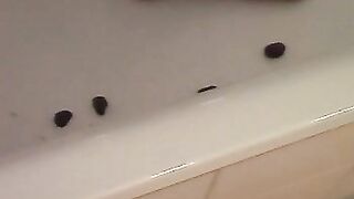 Cheeky hairy wife enjoying piss and shit