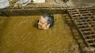 Enjoy poop bath in cowshit