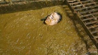 Enjoy poop bath in cowshit