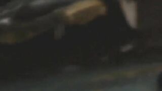 Lovely babes and mess in the bus