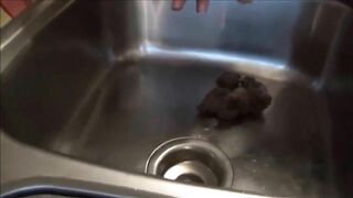 Nasty brunette shitting in the kitchen sink and pooping