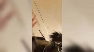 Young white booty poops