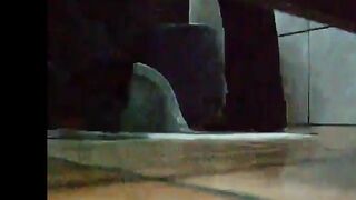 Caught her pissing in the public toilet