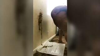 Shit in Reverse Compilation