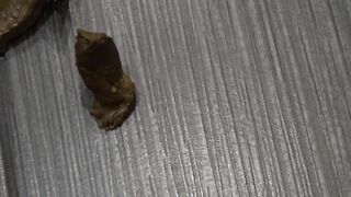 Kinky babe pooping big load