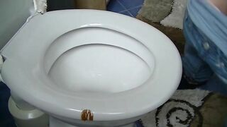 Smooth babe shitting in the bowl