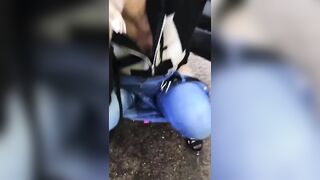 Travelers Outdoor Scat Compilation