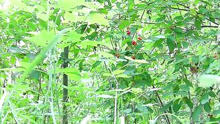 Lovely asshole and garden poop