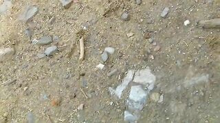 Naked girl pooping on the stones