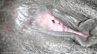 Black pussy and asshole