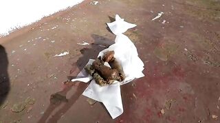 Babe shitting on old boat