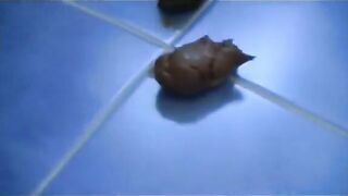 Nice ass and lovely shit