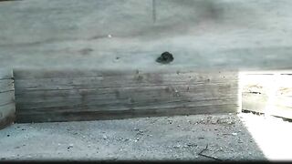 2 girls pooping at the same time together