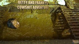 Cow shit and horse dung videos