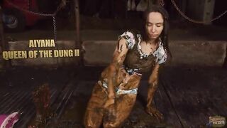 Cow shit and horse dung videos