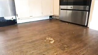 Pretty naked ebony chick poops