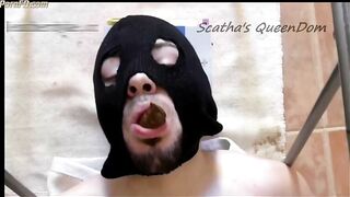 Slave eating fresh shit