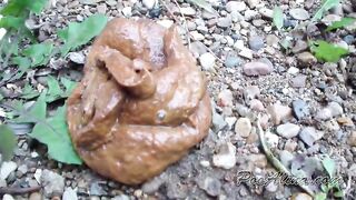 A powerful outdoor shit play