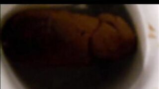 Big poop squatting over the toilet