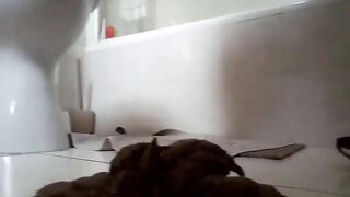 Big lengthy soft poop on bathroom floor