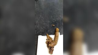 Mature busty lady and hard poop