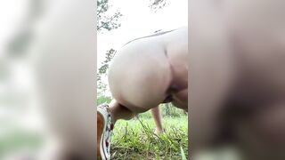 Scat and Shit Compilation