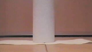 Dropping a long smooth turd